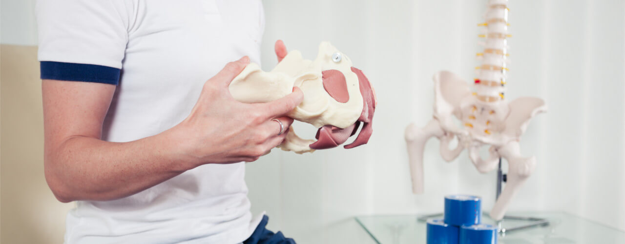 Pelvic Floor Physiotherapy model