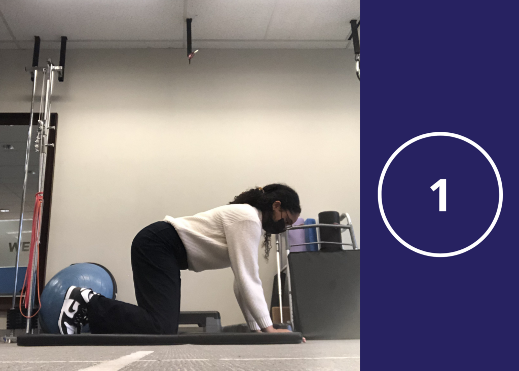 For downward dog, start in an all-four kneeling position with your hands under your shoulders and knees under your hips. Keep your head and back neutral while you gently push your palms into the mat.