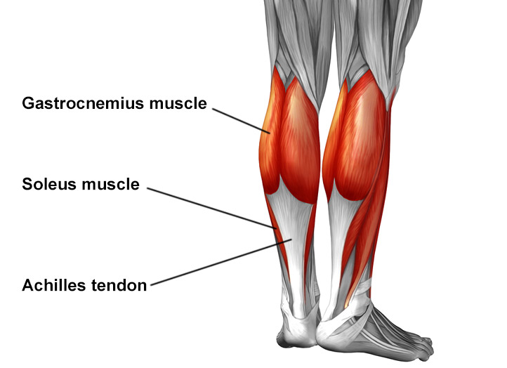 achilles tendon dance injury
