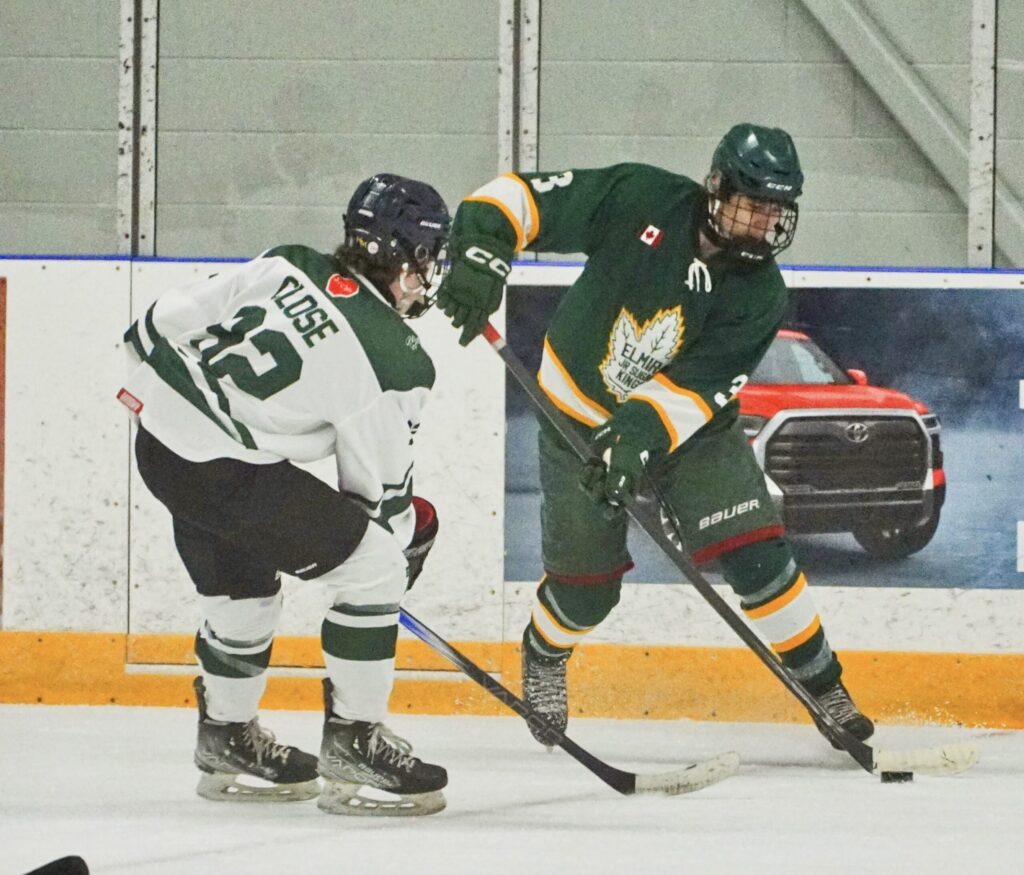 The 4 Most Common Hockey Injuries and How We Can Help You!