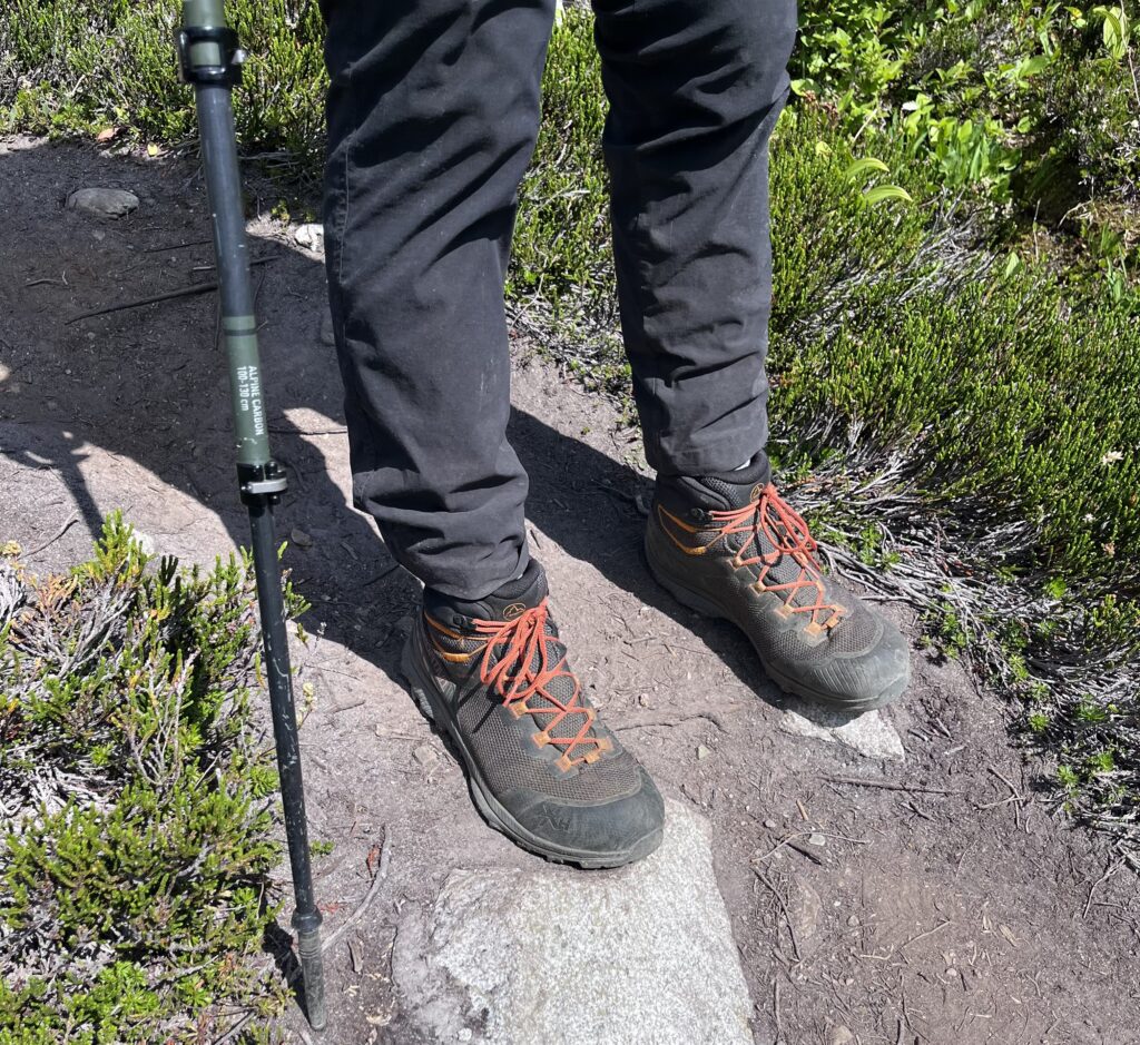 Image of hiker wearing hiking boots and using one trekking pole. Hiker is on a rocky trail and you can only see his feet ankles and knees as well as the trail and the plants on the edges of the plants.