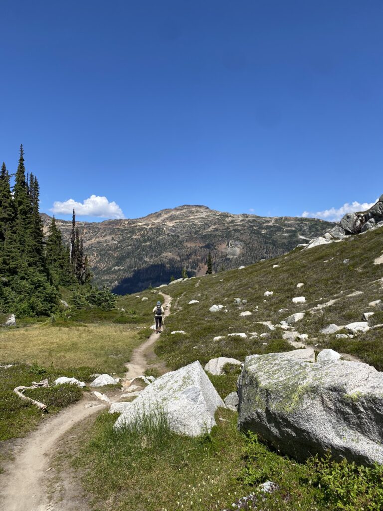 Hiker walking on a well defined trail from behind. There are mountains in the background and trees and rocks in the foreground.