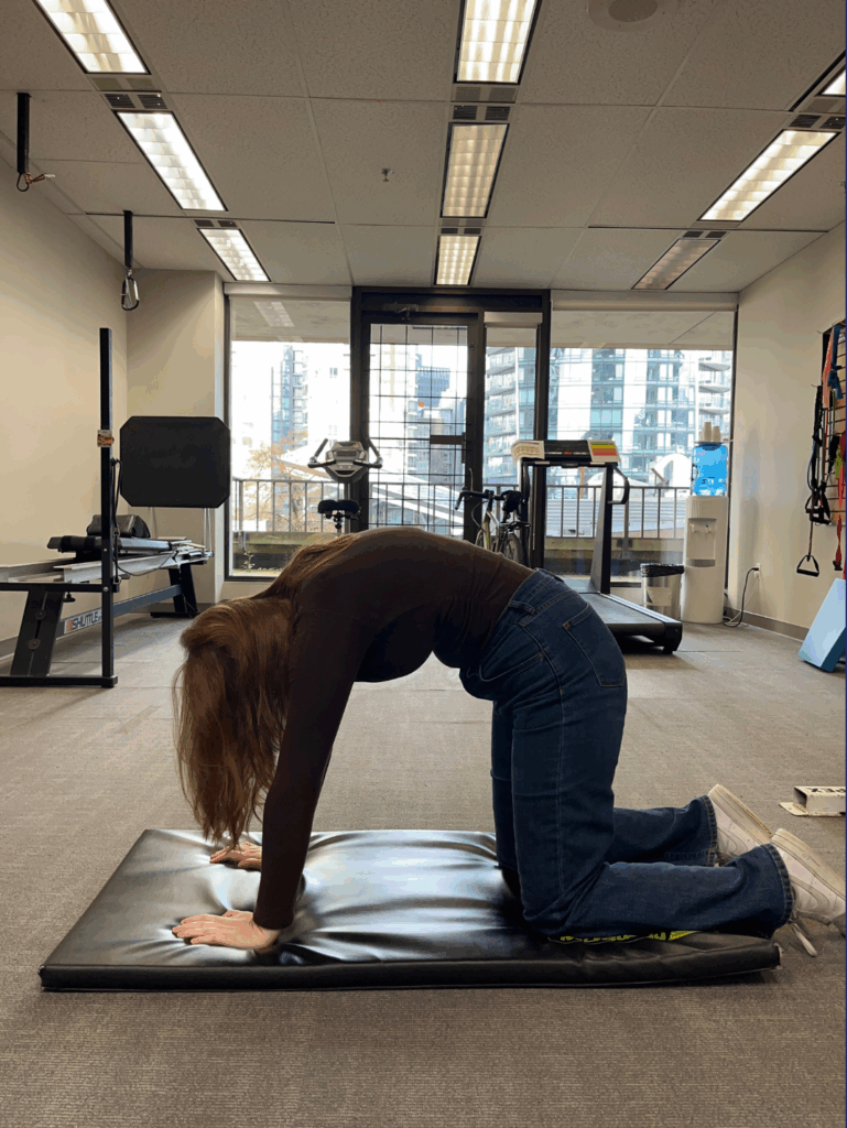 Cat Cow stretch