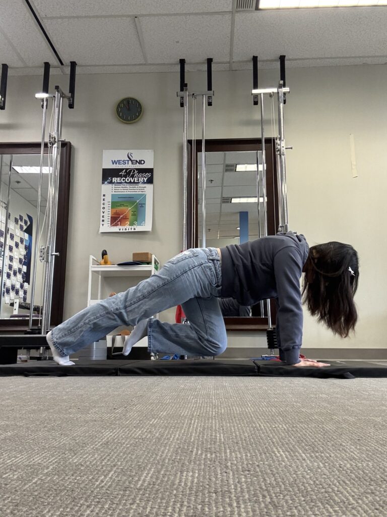 Mountain Climbers